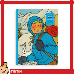 tintin 24243