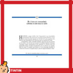 کتاب شخصیت کاپیتان هادوک - Image 3