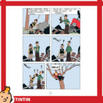 tintin 703103