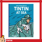 tintin 24484