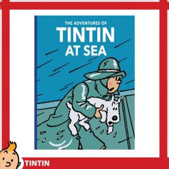 tintin 24484