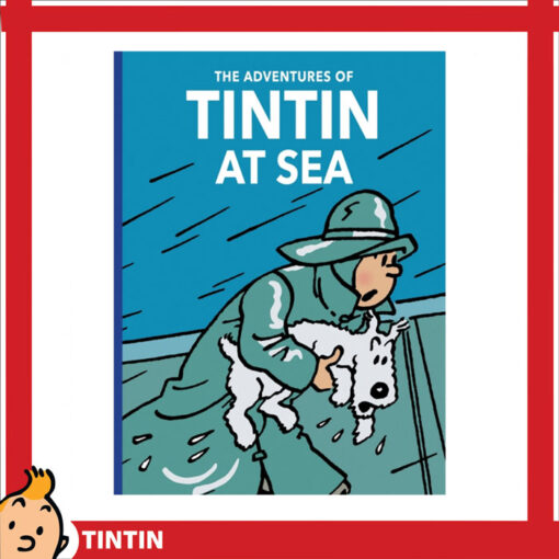 tintin 24484