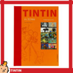 Tintin à l'écran