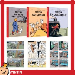 tintin 77114