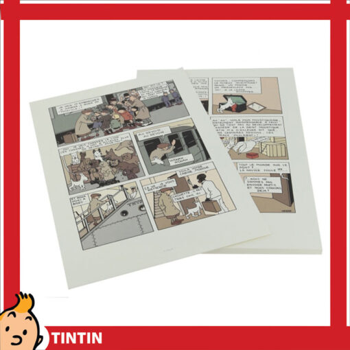 باکس کتاب تن تن در کنگو - Image 2