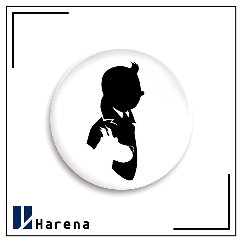 tintin magnet