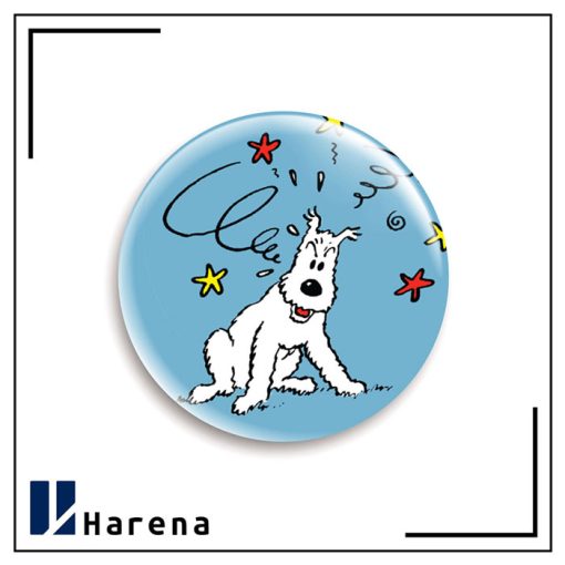 tintin magnet