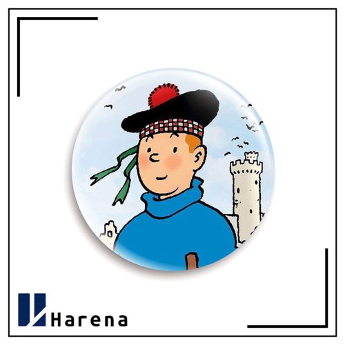 tintin magnet