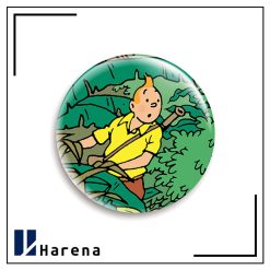 tintin magnet