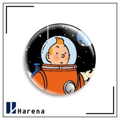 tintin magnet