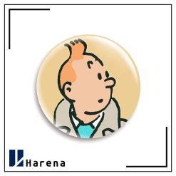 tintin magnet