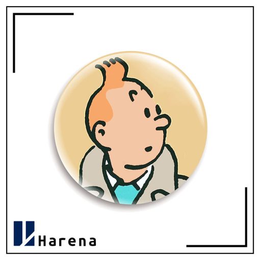 tintin magnet