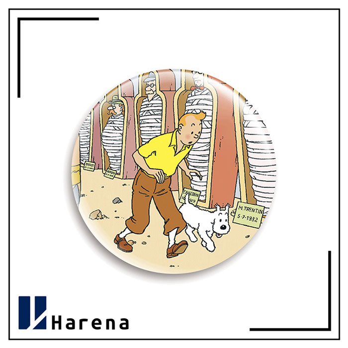 tintin magnet
