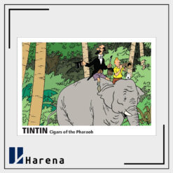 کارت پستال تن تن با پاکت نامه اختصاصی