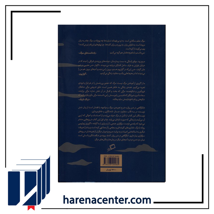 لنگرگاهی در شن روان انتشارات اطراف